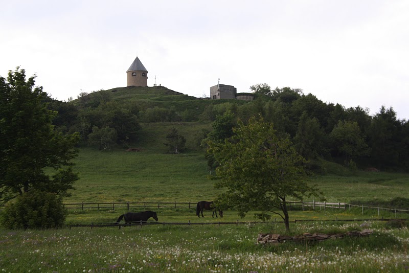 Měděnec