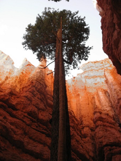 Bryce Canyon