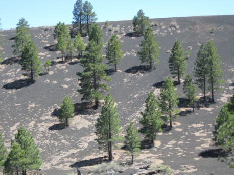 Sunset crater